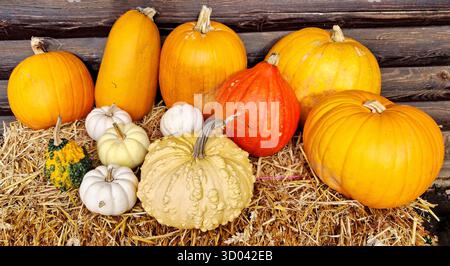 Autumn harvest display with colorful pumpkins and gourds on a hay bale Stock Photo