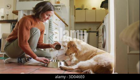 Crouching woman pouring dog kibble from cup into steel bowl for dogs in kitchen, copy space Stock Photo