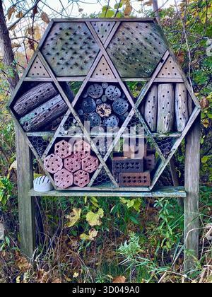 Insect hotel at the edge of the forest in Autumn, Fall to preserve and help insects to nest and hibernate in Midwest, USA Stock Photo