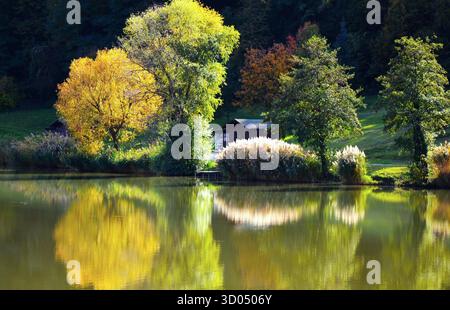 Autumn Trees Reflecting On the  Lake,Zalacsány Fishing Pond,Hungary Stock Photo