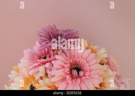 Macro close-up of multi-color artificial Gerbera flowers. Vibrant, dynamic texture for digital backgrounds and beauty product promotion. Stock Photo