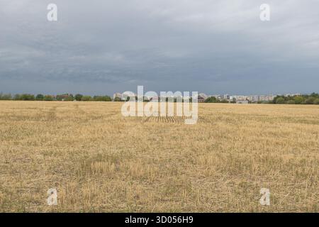 Wide agricultural field with dry harvested wheat and distant city skyline under dramatic cloudy sky before the storm. Stock Photo