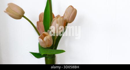 Minimalist soft brown fabric tulips in vase on white background. Simple, neutral tone aesthetic for home decor and refined lifestyle concepts. Stock Photo