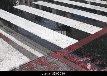 Wet pedestrian crosswalk stripes. Road marking pattern closeup. Rainy asphalt surface with red curb line. Urban traffic safety concept. Street texture Stock Photo