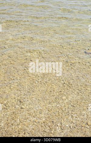 Brown wavy water surface, background picture, Germany Stock Photo