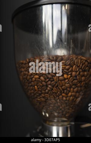 Coffee beans roasted and poured into a coffee grinder. The process of making coffee by a barista. Close-up Stock Photo