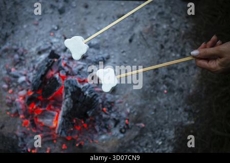 Marshmallows are fried on skewers over a fire. Fried marshmallows with an open flame on a skewer. Campfire romance, summer evening Stock Photo