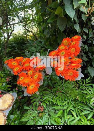 Butterfly shaped feeder adorned with bright orange Gerbera daisies (Gerbera jamesonii). Located in a lush, leafy garden setting Stock Photo