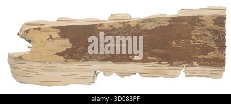 Birch bark isolated on white background Stock Photo
