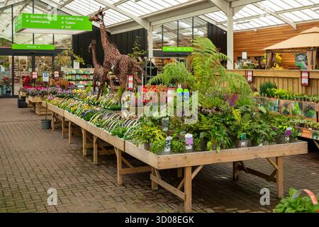 Mappleborough Green Garden Centre Stock Photo