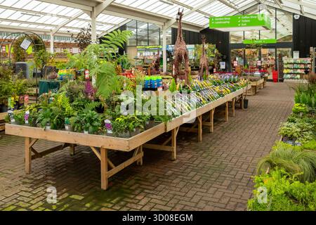 Mappleborough Green Garden Centre Stock Photo
