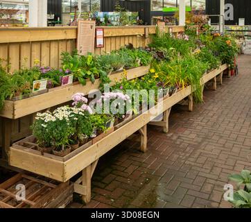 Mappleborough Green Garden Centre Stock Photo