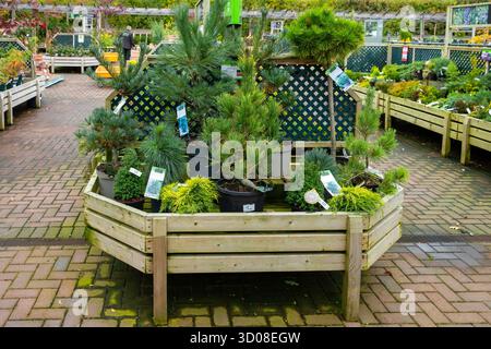 Mappleborough Green Garden Centre Stock Photo