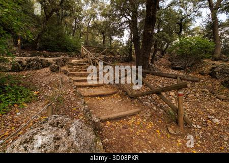 Stairs made of logs on the trail in Font Roja Natural Park, Alcoy, Spain Stock Photo