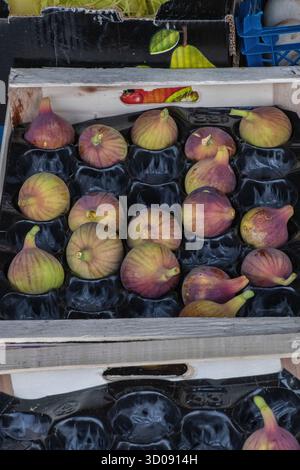 fresh figs on sale at a Greek Marketplace in a tray. Fresh juicy figs for sale on a Greek market. Stock Photo