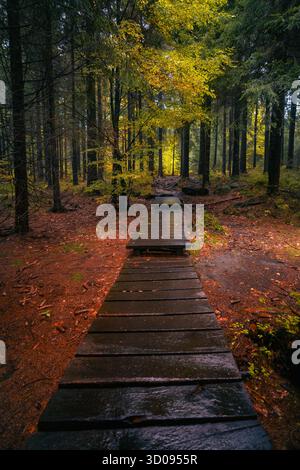 Autumn fairy tale. Park path covered in fallen leaves Stock Photo - Alamy
