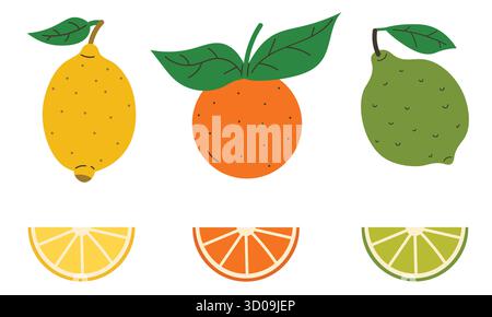 Set of citrus fruits like lemon, lime, orange with leaves and wedges in flat cartoon style. Bright fruit illustration for print, packaging, sticker, t Stock Vector
