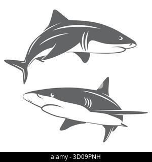 Shark Silhouette Set, Vector Illustration. Swimming Shark Icons, Shark Illustration in Monochrome. Sea Predator Emblem and Badge for Ocean, Marine Stock Vector