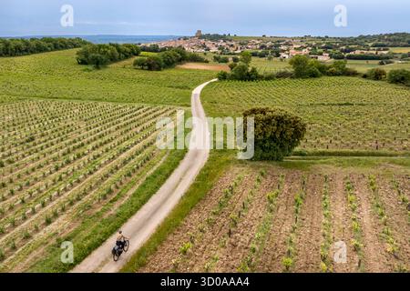 France, Vaucluse, Chateauneuf du Pape, cycling on the Coste Froide path on the Crau plateau and the Chateauneuf du Pape dungeon in the background (aerial view) Stock Photo