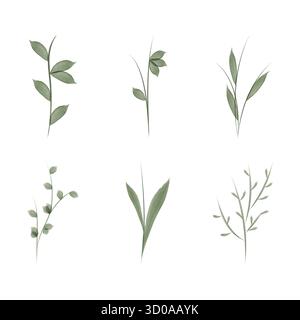 A collection of six different watercolor illustrations of flower stems and leaves. These botanical elements are suitable for use in environmental conservation infographics. Stock Vector