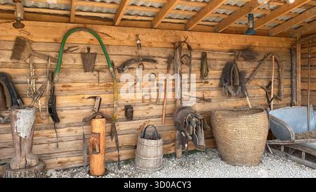 Antique tools for working in the fields and on the farm are arranged against a background of a wall of wooden planks. Stock Photo