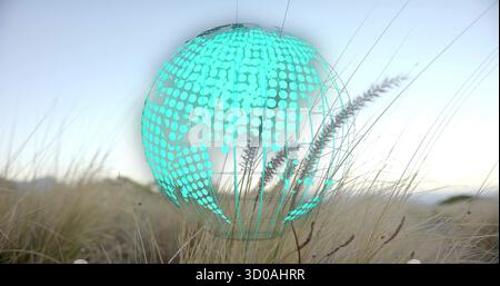 Floating turquoise dotted wireframe globe hovering above beige grasses in grassland, with hologram Stock Photo