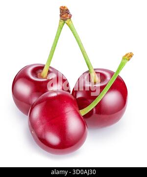 Three tart cherries or sour cherries isolated on white background. File contains clipping path. Stock Photo