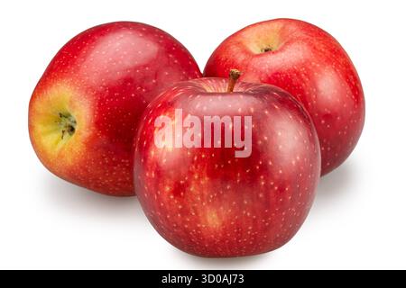 Three ripe red apples on white background. File contains clipping path. Stock Photo