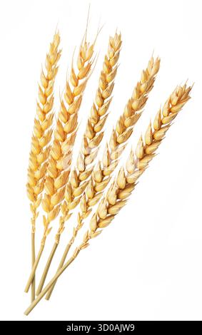 Ripe wheat ears isolated on white. File contains clipping paths. Stock Photo
