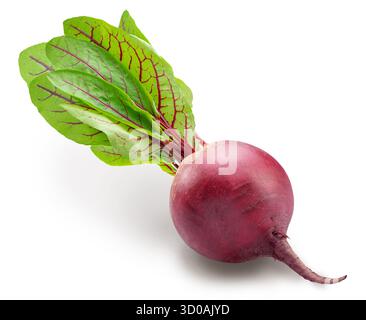 Raw red beetroot with beetroot leaves on white background. File contains clipping path. Stock Photo
