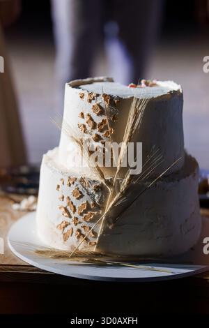 A beautifully decorated two-tiered wedding cake featuring gray textured frosting and natural wheat stalks, ideal for rustic celebrations, farmhouse we Stock Photo