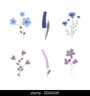 This showcases a set of six individual watercolor illustrations. Each delicate floral painting displays different flowers in shades of blue, purple, and green on a white background. Stock Vector