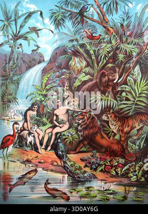 The Creation of Eve, from The Story of Adam and Eve - Heinrich ...