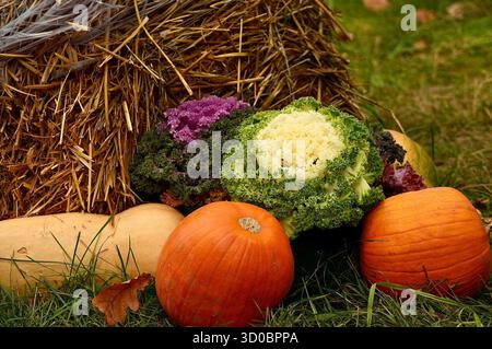Autumn still life with pumpkins and vegetables on hay bale Stock Photo