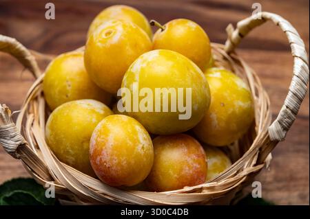Sweet ripe small yellow mirabelle plums from France, healthy organic fruits close up Stock Photo