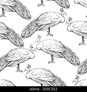 Seamless pattern with beautiful peacock male in engraving style. Vintage ink illustration for decor and textile. Stock Vector