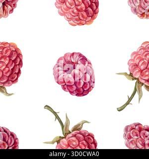 Ripe raspberries seamless pattern. Hand drawn watercolor illustration. Suitable for designing juice, jam and marmalade labels, wrapping paper, textile Stock Vector