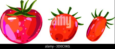 Vector illustration of red tomatoes with green stems. Hand drawn fresh vegetables isolated on white background Stock Vector