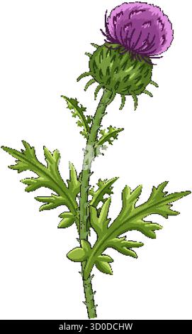 Cartoon-style vector of Scottish thistle with spiky green leaves and vibrant purple flower. Stock Vector