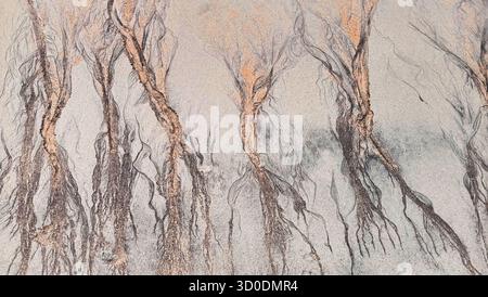 Abstract cracks and lines on sand top view, cracked sandy texture, creative art background, grunge pattern, aged surface, dry arid ground, tree branch Stock Photo