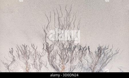 Abstract cracks and lines on sand top view, cracked sandy texture, creative art background, grunge pattern, aged surface, dry arid ground, tree branch Stock Photo
