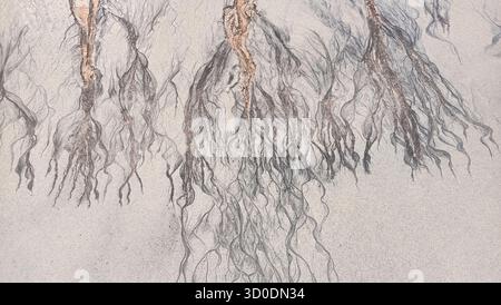 Abstract cracks and lines on sand top view, cracked sandy texture, creative art background, grunge pattern, aged surface, dry arid ground, tree branch Stock Photo