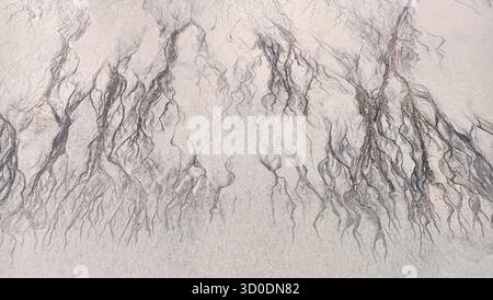 Abstract cracks and lines on sand top view, cracked sandy texture, creative art background, grunge pattern, aged surface, dry arid ground, tree branch Stock Photo