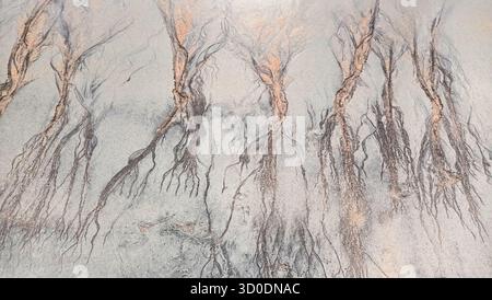 Abstract cracks and lines on sand top view, cracked sandy texture, creative art background, grunge pattern, aged surface, dry arid ground, tree branch Stock Photo