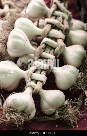 Garlic plait. Braided rope of garlic bulbs. Close up studio shot ...