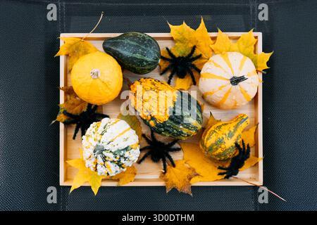 Flatlay of assorted ornamental gourds and yellow maple leaves in a wooden tray on a black textured surface. Seasonal decoration, autumn harvest Stock Photo