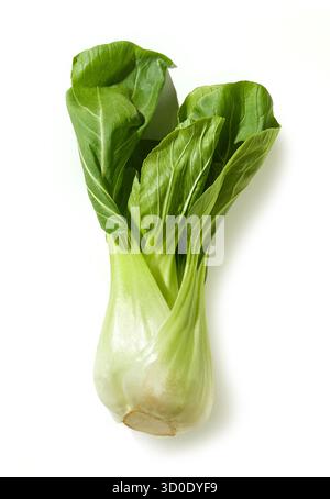 fresh raw green pak choi lettuce or chinese cabbage isolated on white background, top view. Paksoi Stock Photo