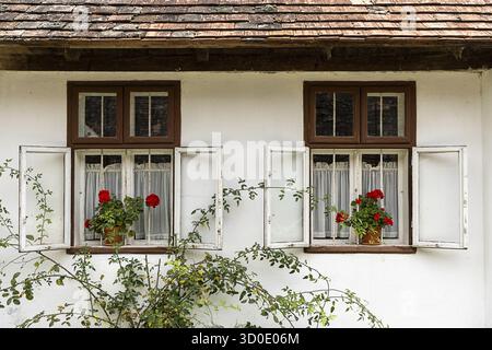 Two windows with open shutters, red geraniums in flower pots, Weinviertel Lower Austria Austria Stock Photo