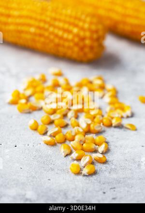 Yellow Strawberry Corn (Zea mays convar.) seeds in front of corn cobs, showing bright yellow tones and natural harvest atmosphere. Stock Photo