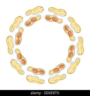 Circular wreath with peanut in shell and halves arranged on a white background in a simple flat style illustration. Stock Vector